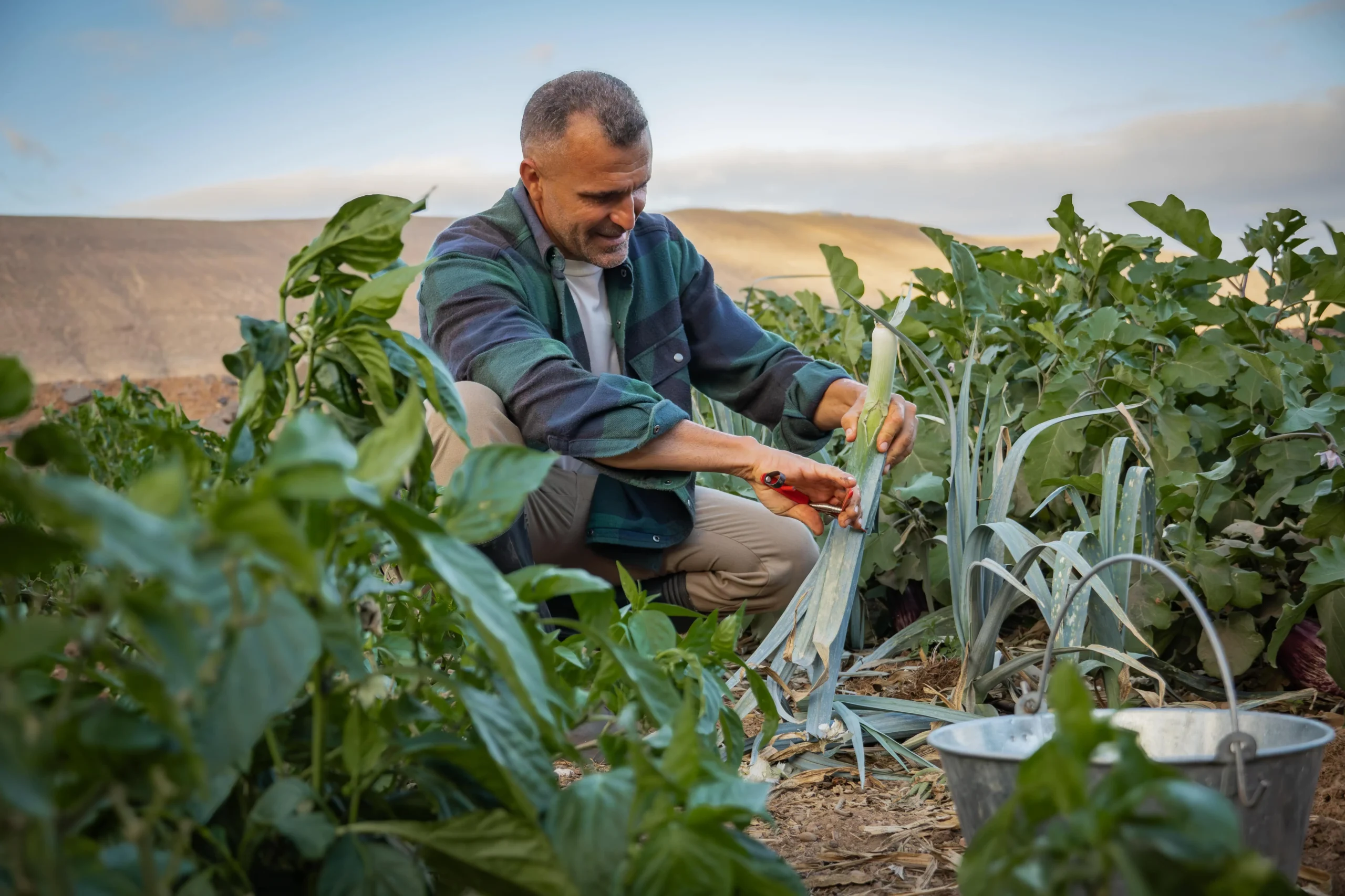 Juan esta trabajando en la huerta